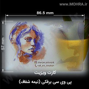 ویزیت PVC ی رو نیم شفاف یک روش سنتی در کسب و کار می باشد که افراد در کارت ویزیت شان مشخصات ، اطلاعات تماس و سایر اطلاعات را درون آن قرار می دهند و به مشتریان خود ارائه می دهند . در عصر تکنولوژی ودیجیتال استفاده از کارت ویزیت برای جذب مشتری رشد داشته و افراد بسیار از این شیوه برای تبلیغات خود استفاده می کنند و در کشورهایی همچون چین و ژاپن تبادل کارت ویزیت بسیار رواج دارد و در کشور ژاپی افرادی که دارای کارت ویزیت هستند بسیار مورد احترام قرار می گیرند.